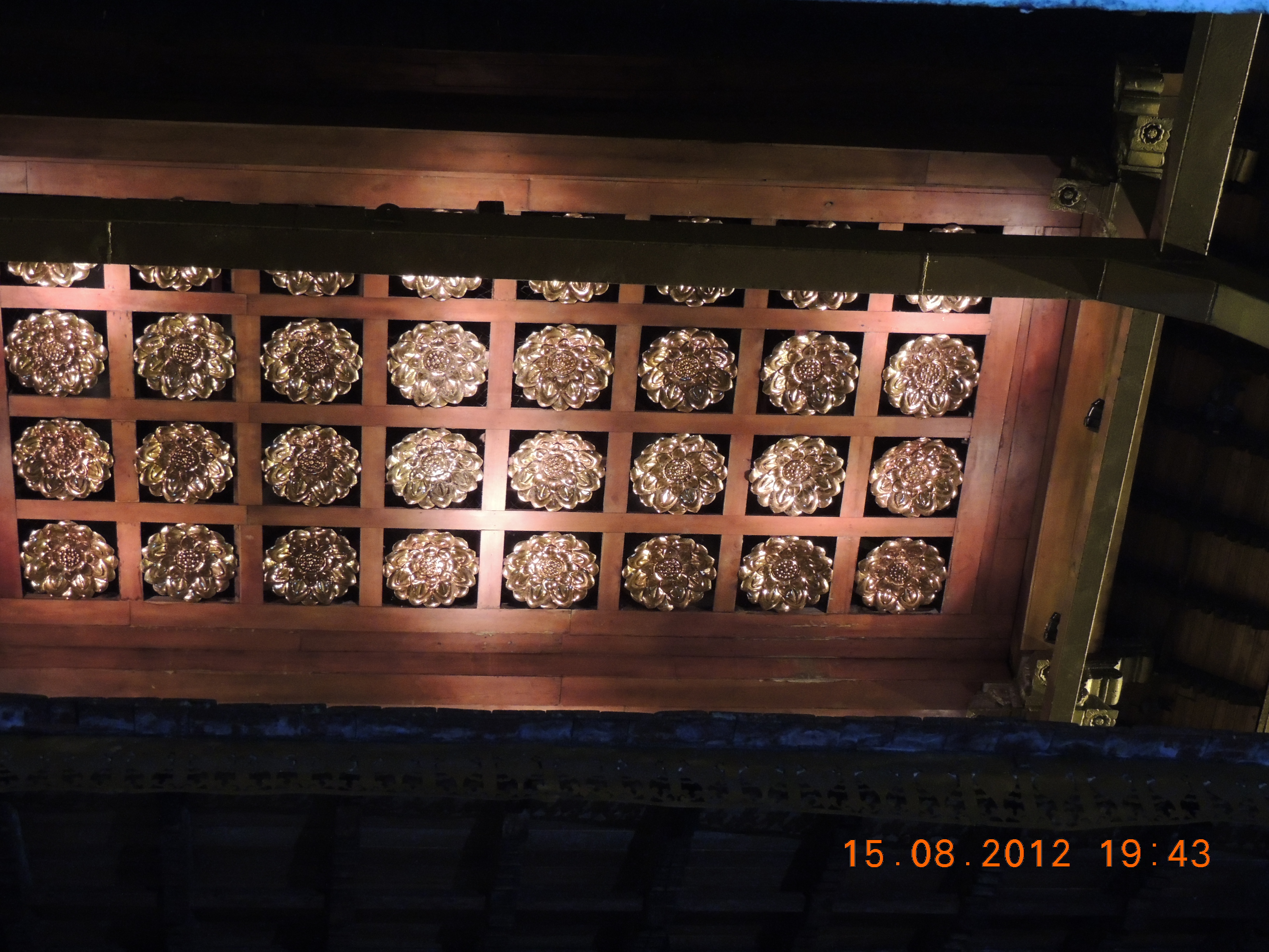 DSCN1401